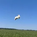 boomyfv
