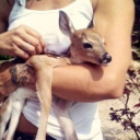 avatar ִֶָ...𓂃ִֶָ࣪🪽་༘ch ྀི𝑖𝑎ྀི˚༘ೀ⋆