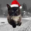 Аватар zaxarpupsik