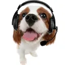 the_omnipotent_doggo