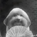 theajayeffect avatar