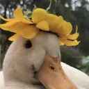 anna.tp