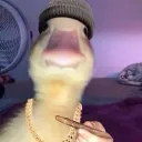 sloberydog