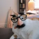 wasup00010