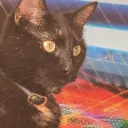 noodleboo