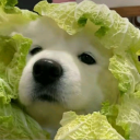xinyi022's Avatar