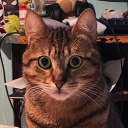 Discord Avatar