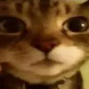 zxthjs