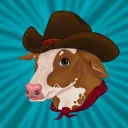 cowboy3493