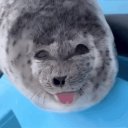ponsukeseal