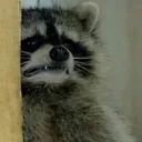 short_annoying_gremlin