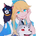 stekc