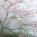 avatar Kimberly🩷🪽