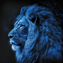 tonyjason4200119's Avatar