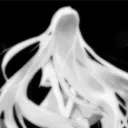larvi_0