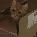 catoriousb