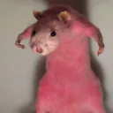 gojo9 avatar