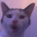 malinygerko_