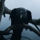just_shadow_1