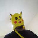 Trippenv