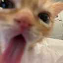 avatar ⁶⁶⁶!คภย๒เչ