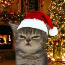 avatar ɓℓεรรɱყ∂૨εαɱร ☆ミ