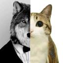 lublab's profile picture