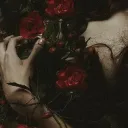 anarchybeforeheaven