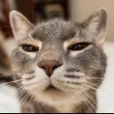 Аватар obeemee