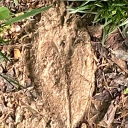 gold_reaflexs's Avatar