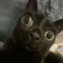 just_here_to_chill avatar