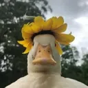 lolguffy's Avatar