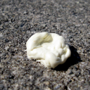 avatar Gum