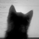 dvkjustherebro011 avatar