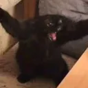 hadestop