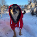 Profilbild för Chego