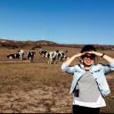 shilongyu663's Avatar