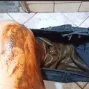 zoz7_