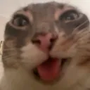 americat101