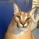 Аватар warden_404