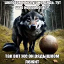 Аватар gnom699399