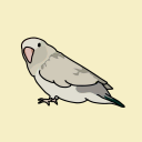 avatar Birb