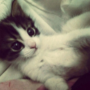 avatar .𝐝𝐱𝐥𝐥𝐬