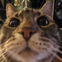 avatar Dozlex Is King