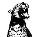 liminaljo