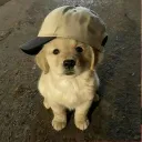 mrmusicalpotato
