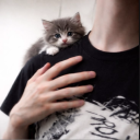 Discord Avatar
