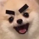 taydertot