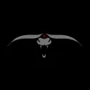 circotico_._ avatar
