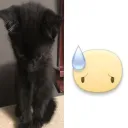 leqw00